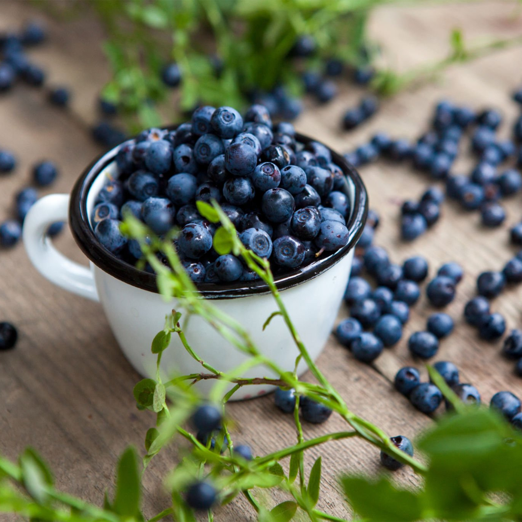 Fresh Blueberries - 1 Box ~ 125 g